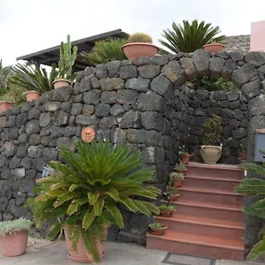 Le Due Cycas Siba